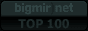 bigmir)net TOP 100